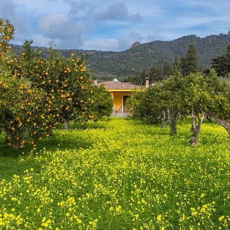A Charming Country Cottage + Bikes And Kayaks Bosa Dış mekan fotoğraf