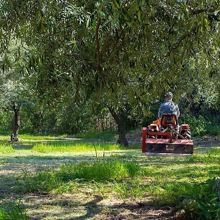 A Charming Country Cottage + Bikes And Kayaks Bosa Dış mekan fotoğraf