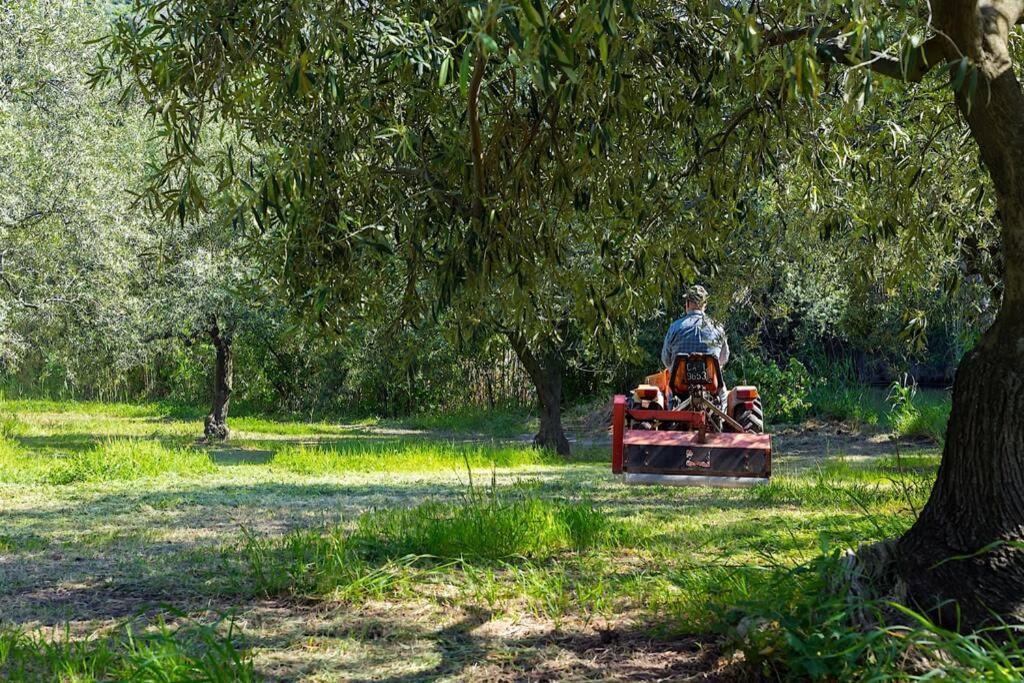 A Charming Country Cottage + Bikes And Kayaks Bosa Dış mekan fotoğraf