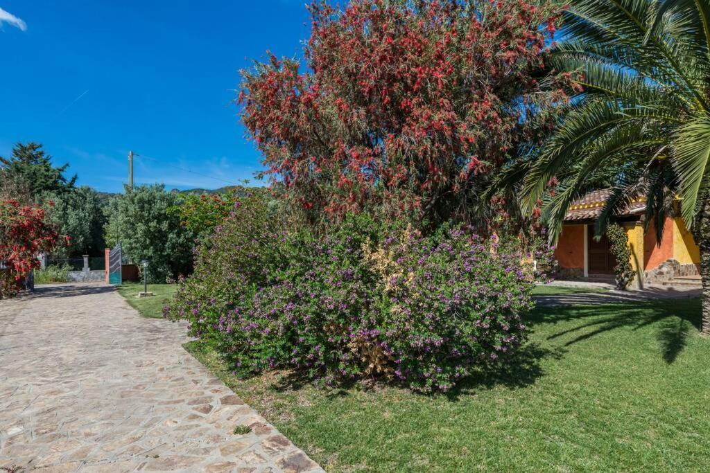 A Charming Country Cottage + Bikes And Kayaks Bosa Dış mekan fotoğraf