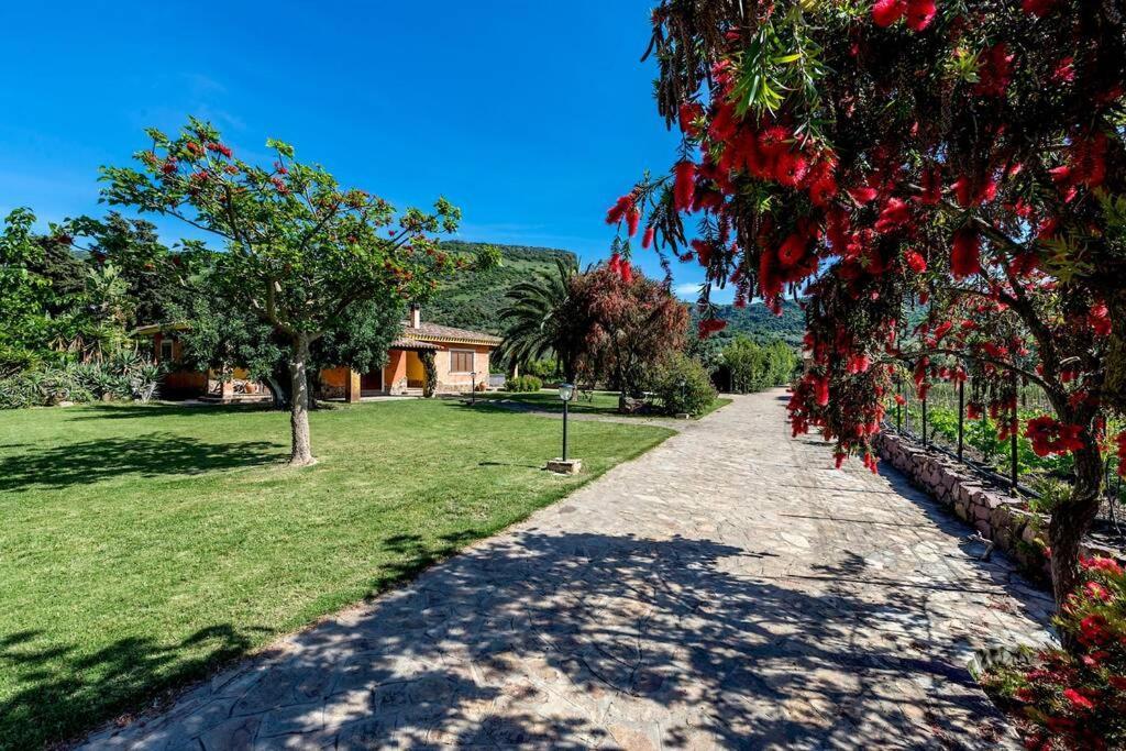 A Charming Country Cottage + Bikes And Kayaks Bosa Dış mekan fotoğraf