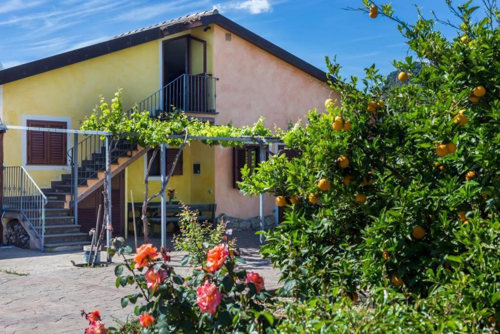 A Charming Country Cottage + Bikes And Kayaks Bosa Dış mekan fotoğraf