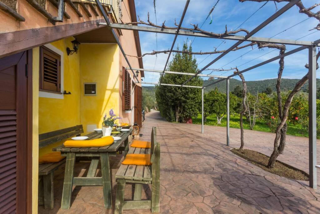 A Charming Country Cottage + Bikes And Kayaks Bosa Dış mekan fotoğraf