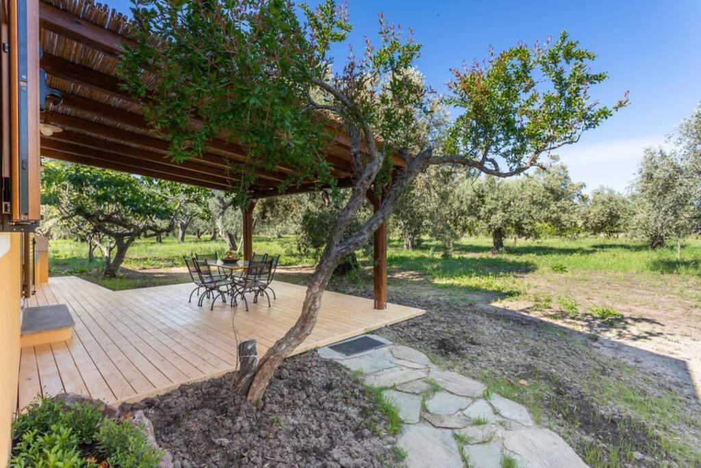 A Charming Country Cottage + Bikes And Kayaks Bosa Dış mekan fotoğraf
