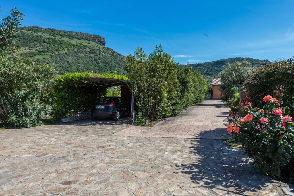 A Charming Country Cottage + Bikes And Kayaks Bosa Dış mekan fotoğraf